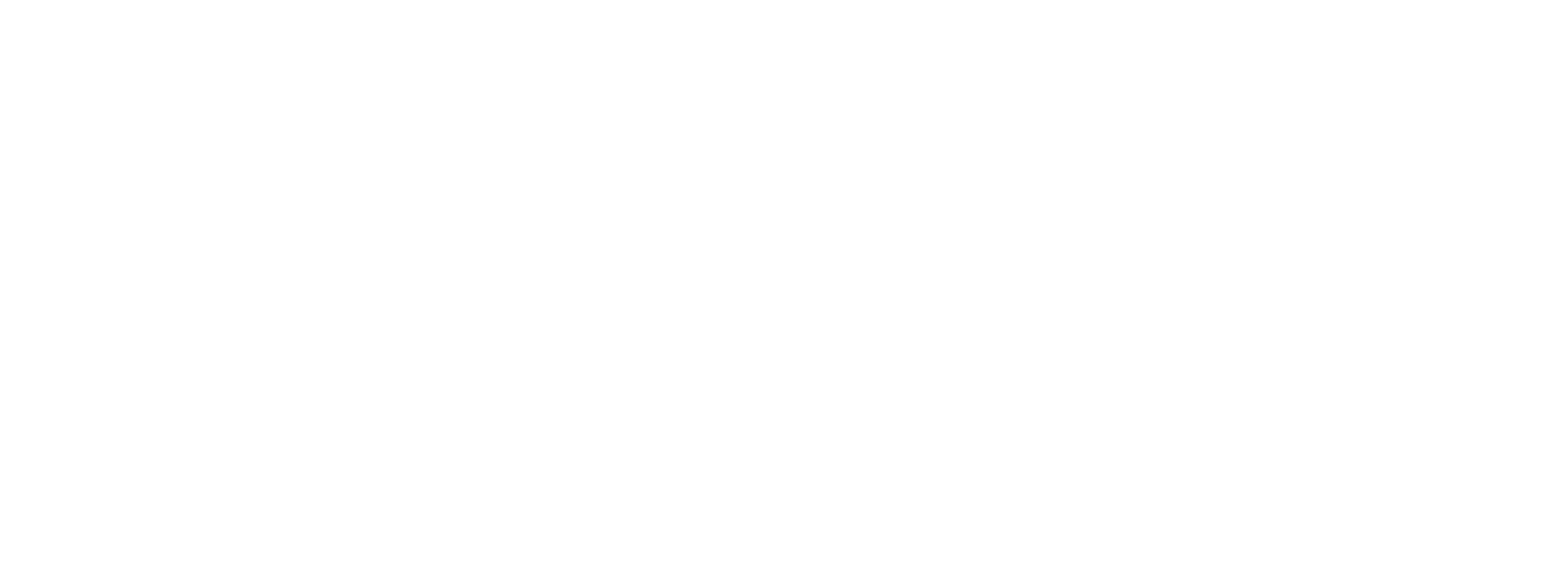 epublink_wpf_biały